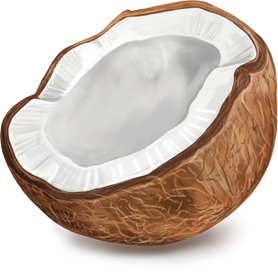 Coconut Fruit Half